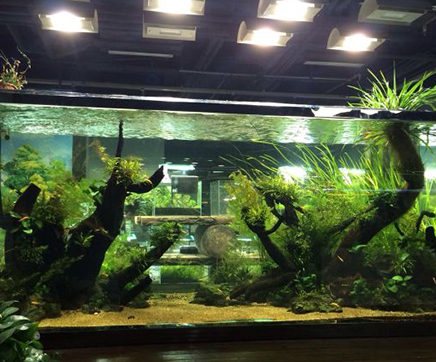 水族设备